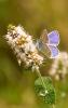 191202 – Photo : Roger Le Guen – France (12)